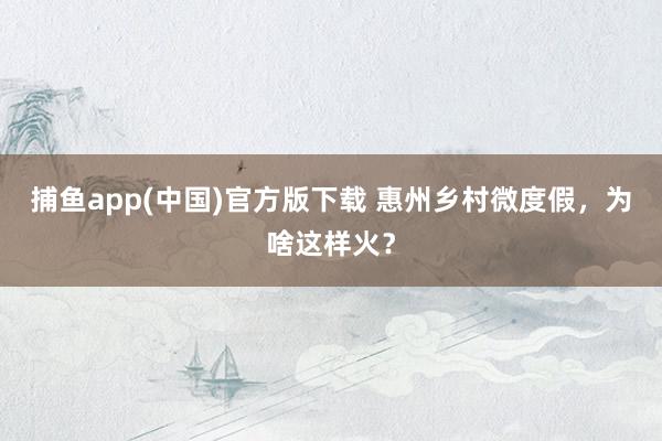 捕鱼app(中国)官方版下载 惠州乡村微度假，为啥这样火？