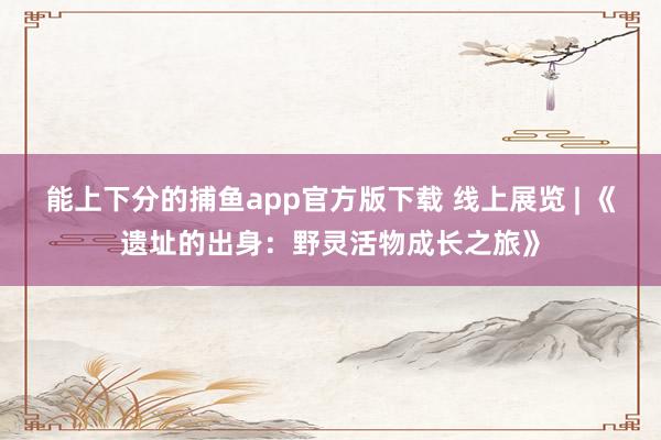 能上下分的捕鱼app官方版下载 线上展览 | 《遗址的出身：野灵活物成长之旅》