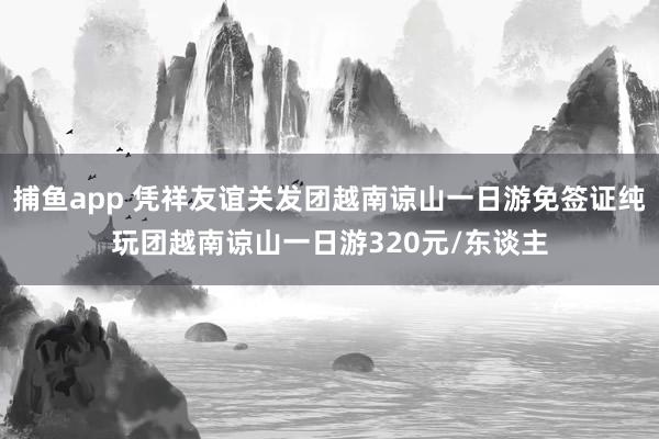 捕鱼app 凭祥友谊关发团越南谅山一日游免签证纯玩团越南谅山一日游320元/东谈主