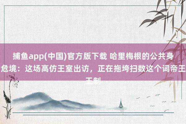 捕鱼app(中国)官方版下载 哈里梅根的公共身份危境：这场高仿王室出访，正在拖垮扫数这个词帝王制