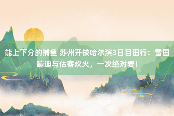 能上下分的捕鱼 苏州开拔哈尔滨3日目田行：雪国蹦迪与估客炊火，一次绝对要！