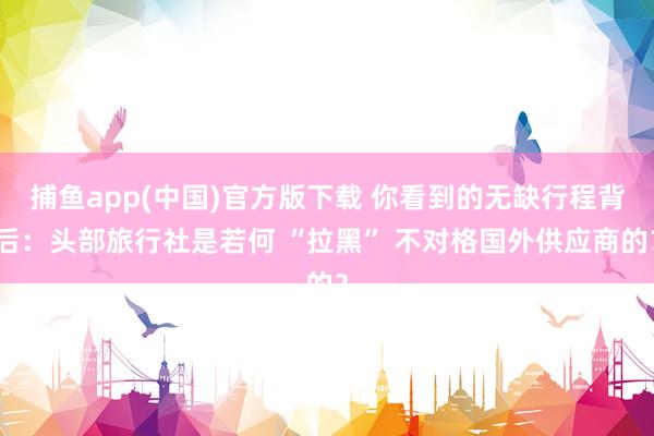捕鱼app(中国)官方版下载 你看到的无缺行程背后：头部旅行社是若何 “拉黑” 不对格国外供应商的？