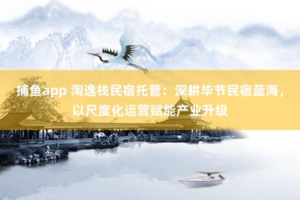 捕鱼app 淘逸栈民宿托管：深耕毕节民宿蓝海，以尺度化运营赋能产业升级