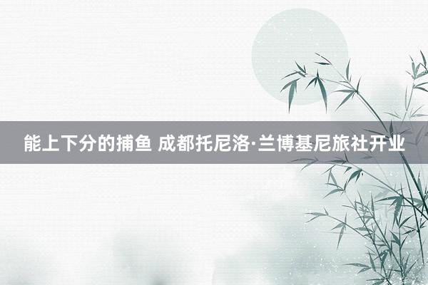 能上下分的捕鱼 成都托尼洛·兰博基尼旅社开业