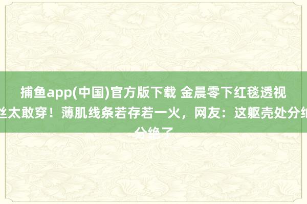 捕鱼app(中国)官方版下载 金晨零下红毯透视蕾丝太敢穿！薄肌线条若存若一火，网友：这躯壳处分绝了