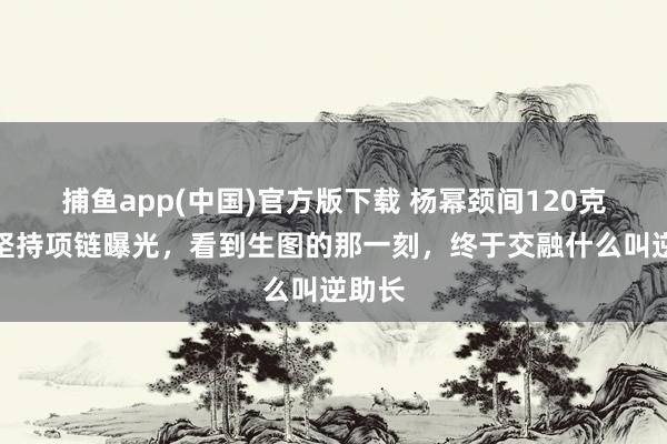 捕鱼app(中国)官方版下载 杨幂颈间120克拉蓝坚持项链曝光，看到生图的那一刻，终于交融什么叫逆助长