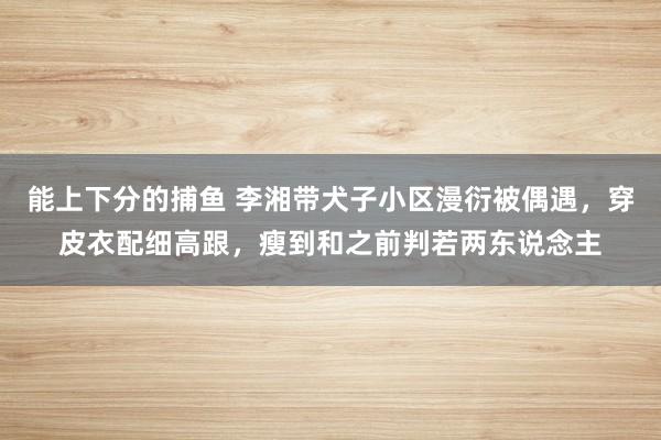 能上下分的捕鱼 李湘带犬子小区漫衍被偶遇，穿皮衣配细高跟，瘦到和之前判若两东说念主