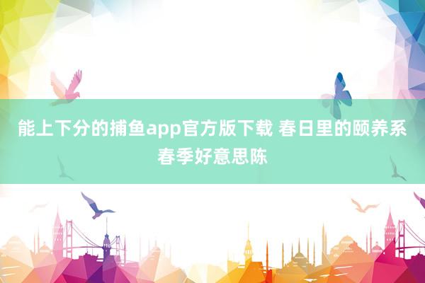 能上下分的捕鱼app官方版下载 春日里的颐养系春季好意思陈