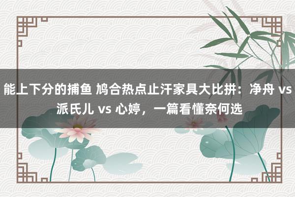 能上下分的捕鱼 鸠合热点止汗家具大比拼：净舟 vs 派氏儿 vs 心婷，一篇看懂奈何选