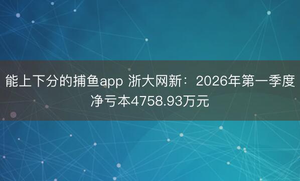 能上下分的捕鱼app 浙大网新：2026年第一季度净亏本4758.93万元