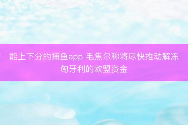 能上下分的捕鱼app 毛焦尔称将尽快推动解冻匈牙利的欧盟资金